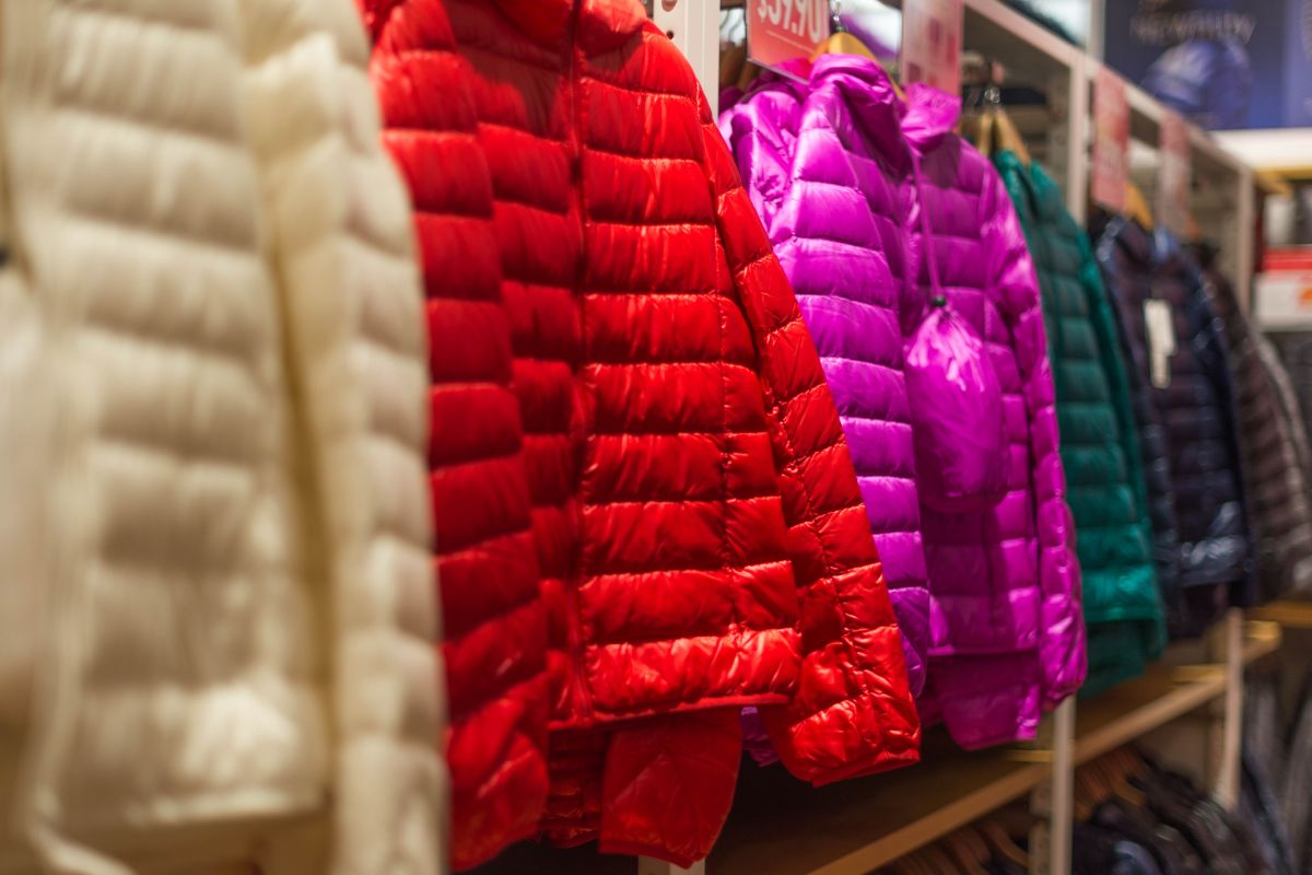 Best Puffer Jackets for Warmth and Style hanged together