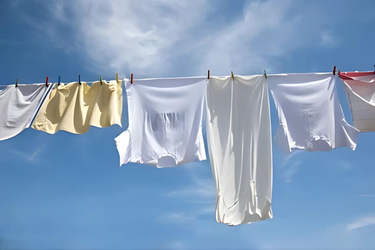 Clothes and printed t-shirt being kept for drying under sunlight for optimum care