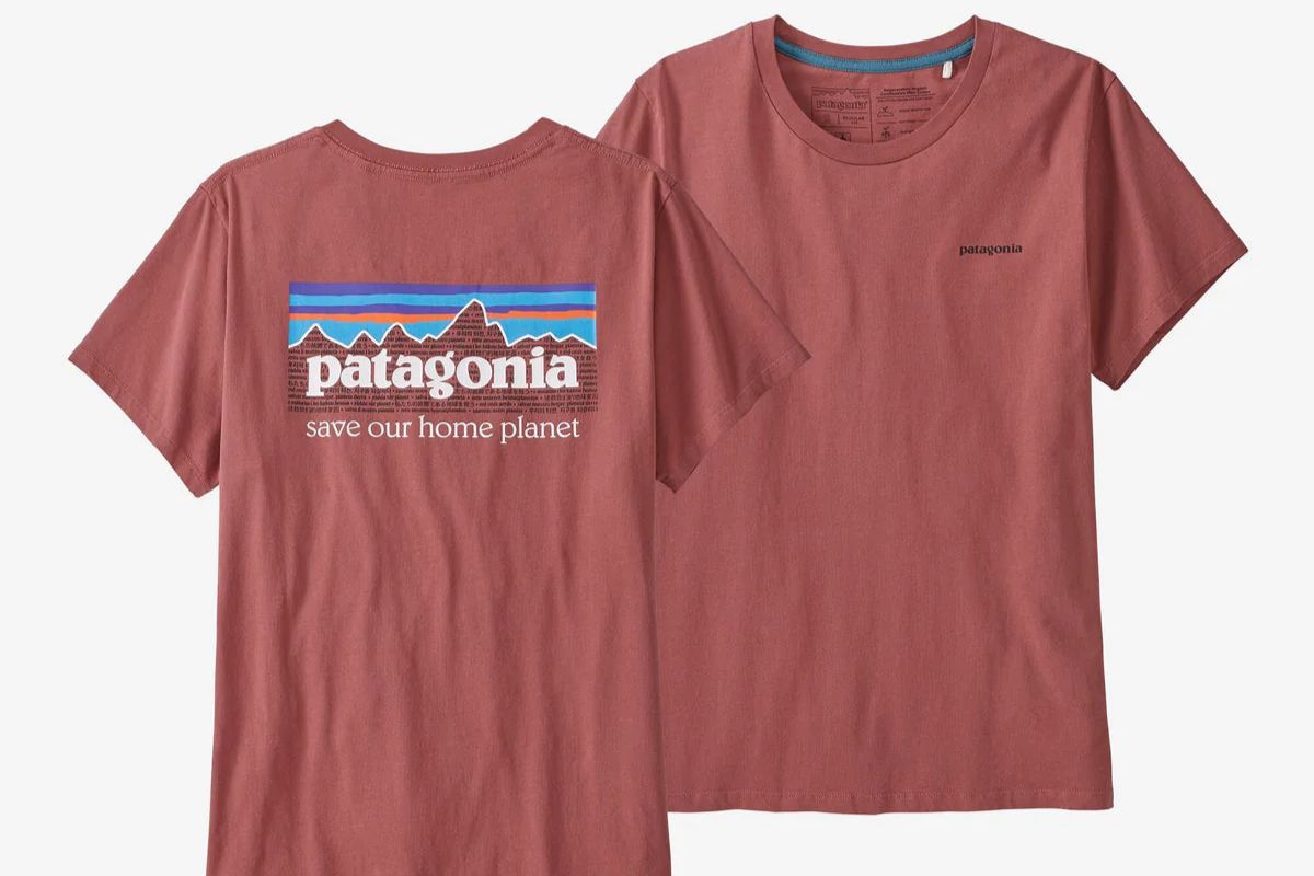 Patagonia Organic Cotton T-Shirt shown in the image