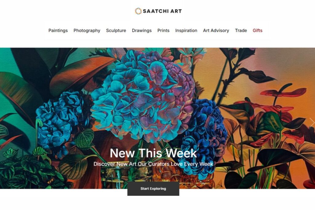 Saatchi Art webpage shown in the image